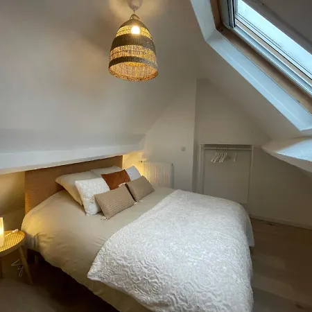 דירה Coup De Coeur~duplex Cocoon Vue Sur Le Beffroi -top Sejour אראס